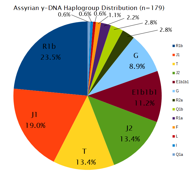 ass_dna.png.f060a4821f8e2b06b671d35cd567a44c.png