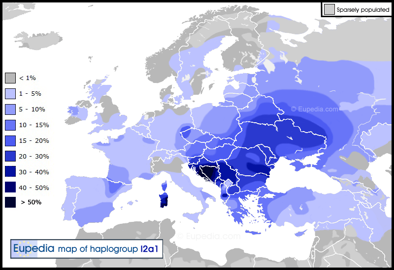 Haplogroup_I2a.png.9b7247a3c230cc6cd02c02a435e7155e.png