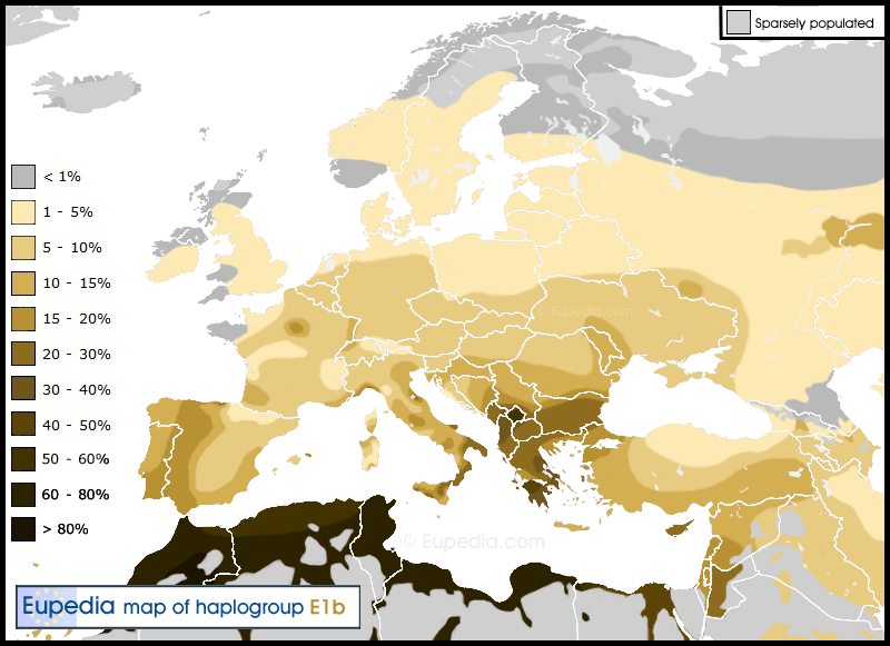 Haplogroup-E1b1b.png.1dbf93a4af2d158fc9e8977a7d2f7760.png